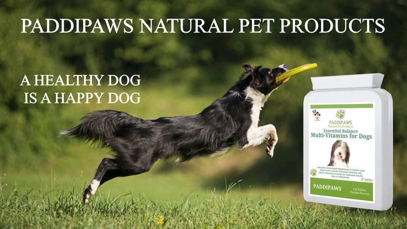 PADDIPAWS Multivitamins for Dogs - 24 Multivitamins, Minerals & Nutrients to ensure your dog receives all the essential Vitamins and Micro-nutrients it needs for optimum health. - PawsPlanet Australia