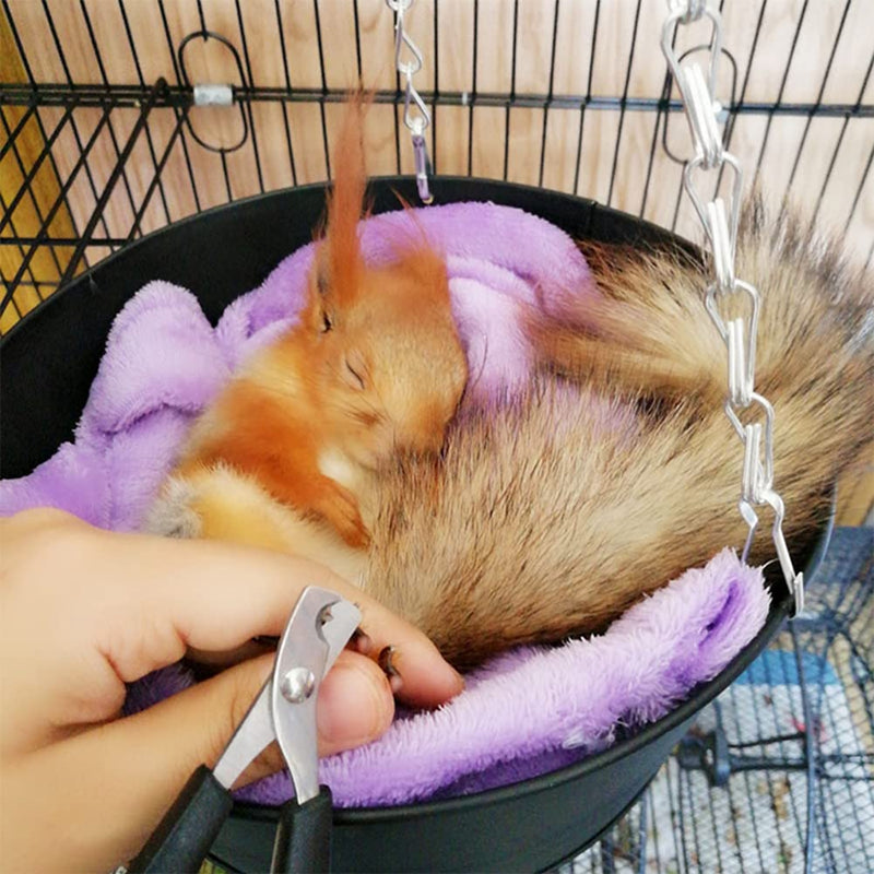 Rabbit Nail Clippers - Professional Pet Nail Clippers Stainless Steel Claw Trimmer Scissors for Small Animal Rabbit Guinea Pig Puppy Ferret Hamsters Chinchilla Sugar Glider Grooming Supplies Black - PawsPlanet Australia