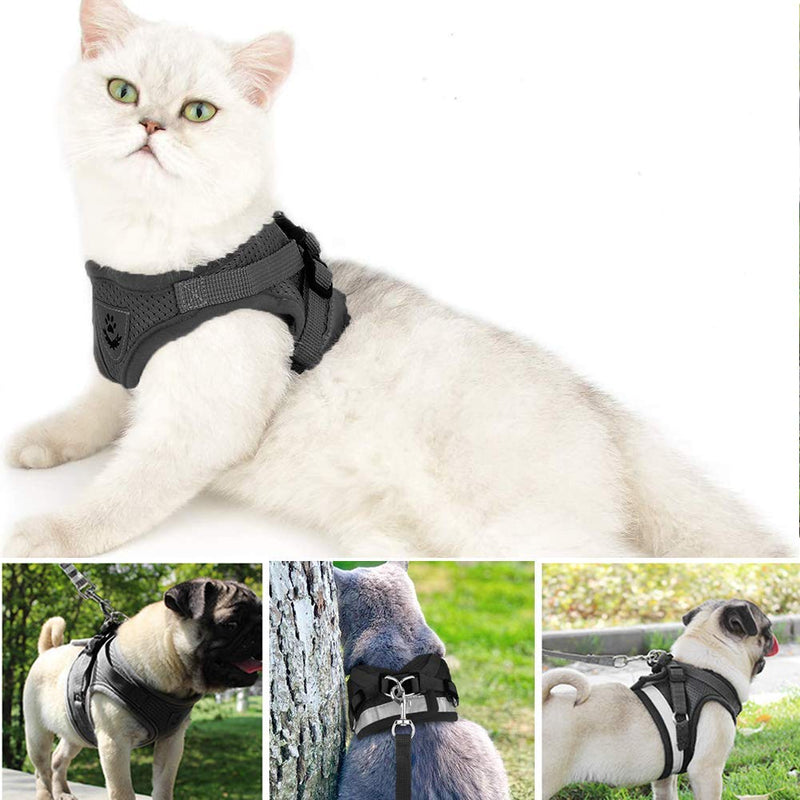 PUPTECK Cat Harness with Leash Collar Set - Adjustable Soft Harnesses Nylon Strap with Fashion Style Design Escape Proof for Walking Outdoor Kittens Puppies Cats - PawsPlanet Australia