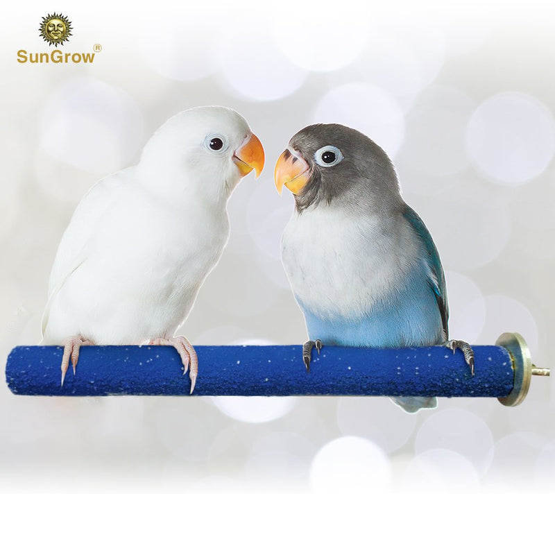 SunGrow Bird Perch, Naturally Keeps Pet Bird Nails Trim and Beaks Smooth, Random Vibrant Colors of Quartz Sand Covered Wood, Perfect Length for Cockatiels, Parakeets & Lovebirds 8 inch (Pack of 1) Blue - PawsPlanet Australia