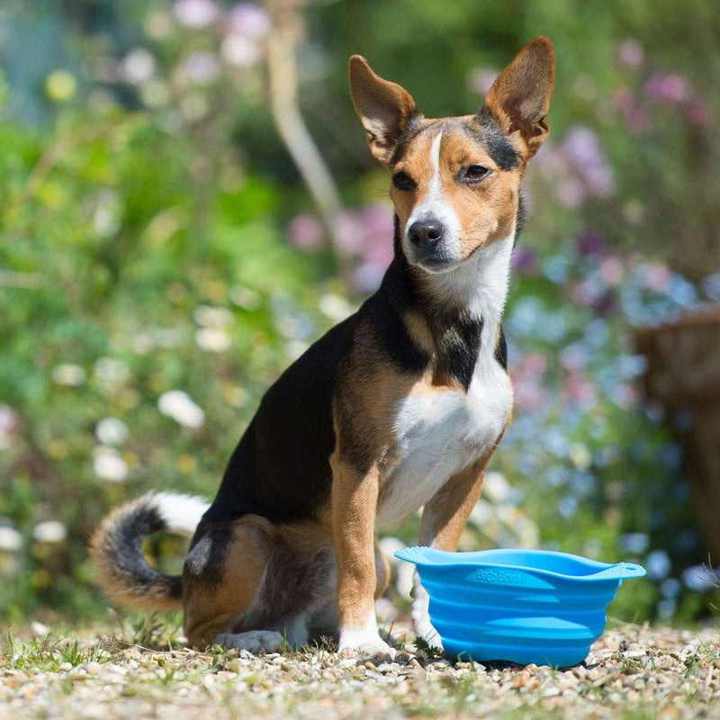 Beco Travel Bowl - Collapsable Silicone Food and Water Bowl for Dogs - M - Pink Medium - PawsPlanet Australia