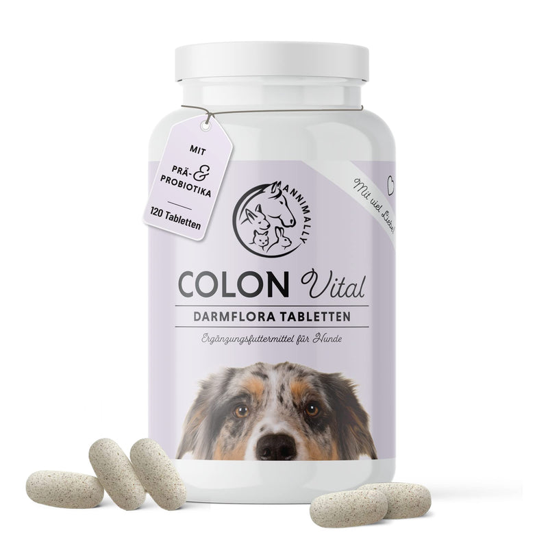 Annimally® probiotics for dogs with 1.5 billion CFU - 120 tablets for healthy intestinal flora - intestinal bacteria for intestinal cleansing and diarrhea for dogs - strengthen the immune system - PawsPlanet Australia
