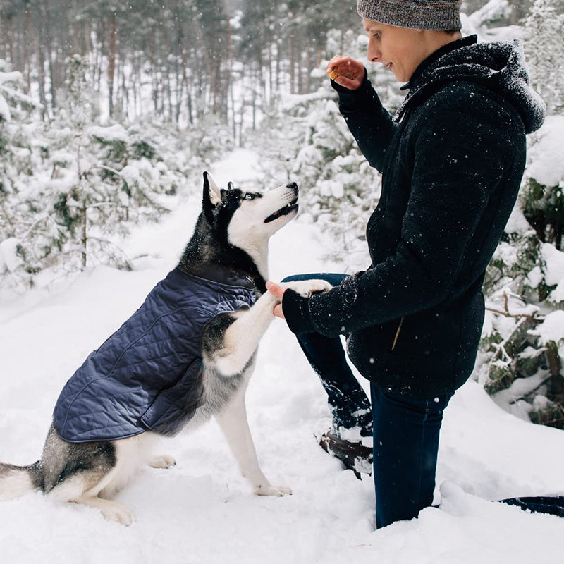 EMUST Winter Dog Coats, Dog Apparel for Cold Weather, British Style Windproof Warm Dog Jacket for Small Dog Coats for Winter, XS X-Small(Pack of 1) Dark Blue - PawsPlanet Australia