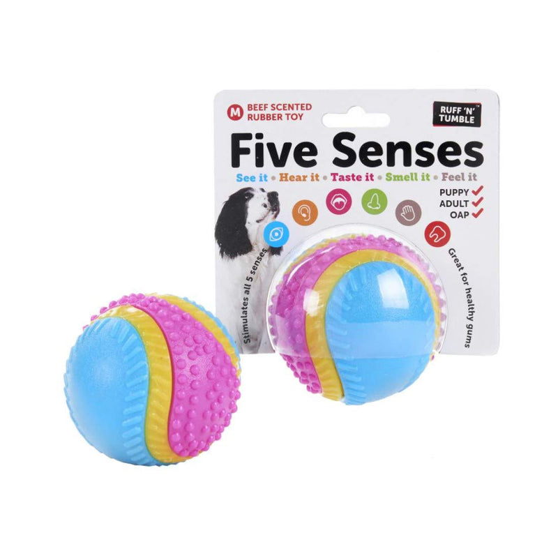 Sharples Beef Scented Five Senses rubber ball for dogs, medium - PawsPlanet Australia