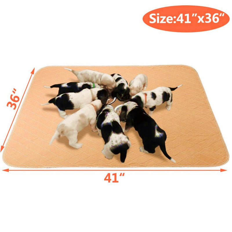 [Australia] - Mihachi 2 Pack Washable Pee Pads for Dogs - 41"x 36" with Anti-Slip Backing, Reusable Dog Training Pee Pads, Waterproof Bed Mat 2 Pack (41"x36") 