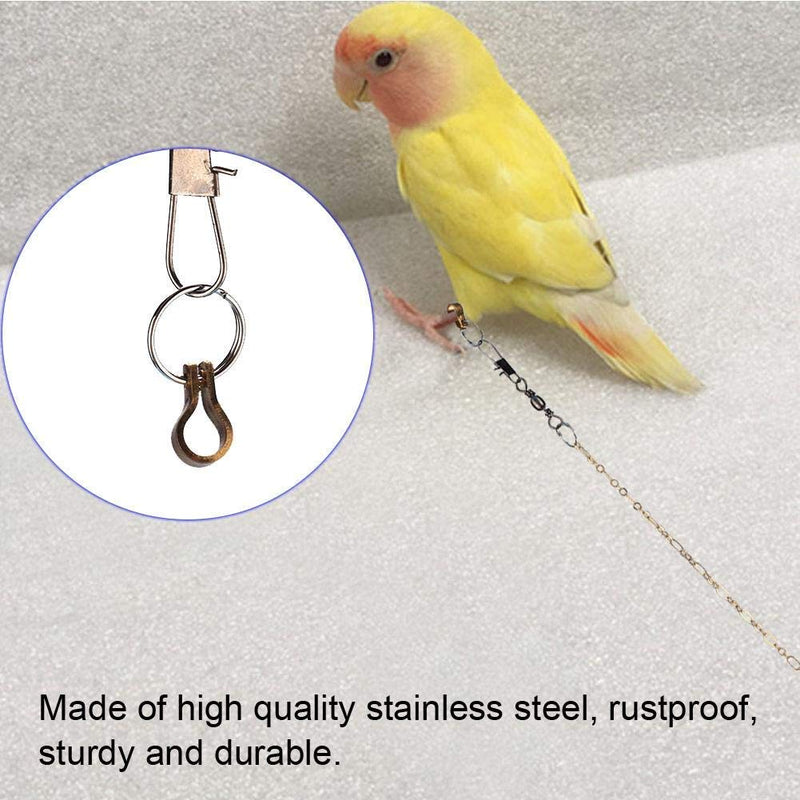 Birds Foot Chain Stainless Steel Parrot Anklet Chain Training Harness for Different Kinds and Sizes of Parrots(Agapornis) Agapornis - PawsPlanet Australia