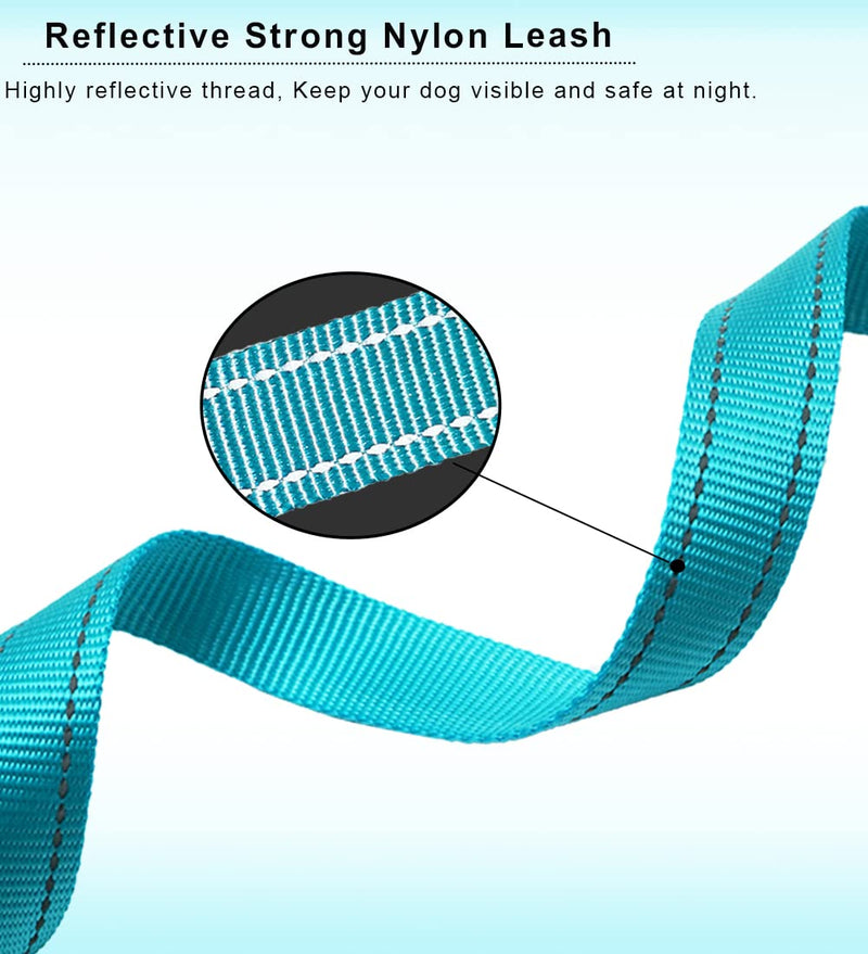 SEPXUFORE 6FT Slip Lead Dog Leash Anti-Choking, Reflective Strong Nylon Flat Dog Leash, No Pulling Dog Training Leash for Small Medium and Large Dogs/ Pets 6FT* 1" blue - PawsPlanet Australia