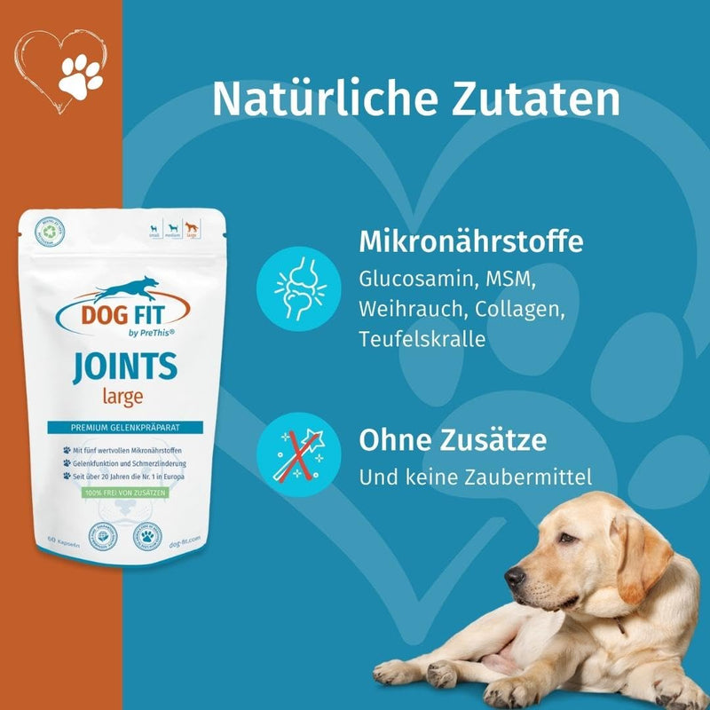 DOG FIT by PreThis® Joints Joint remedies for dogs for osteoarthritis, patellar luxation, spondylosis & hip dysplasia I Glucosamine, MSM, collagen, frankincense, devil's claw without additives I Large JOINTS large (from 25 kg) - PawsPlanet Australia