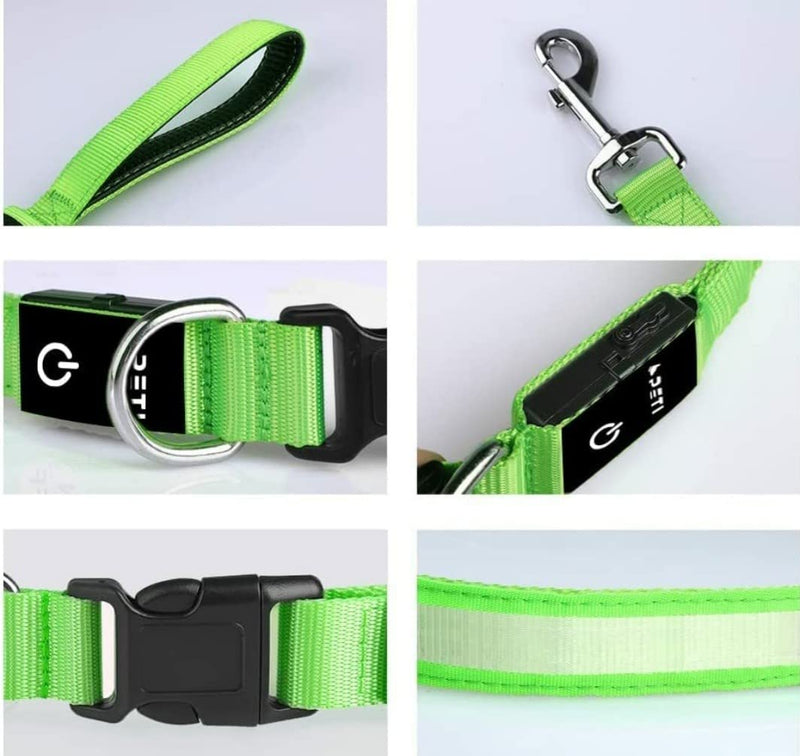 (Shared Products ) LED Dog Leash, Light Up Dog Leash, Micro USB Rechargeable, Waterproof, Nylon Webbing, Glow Safety Standard Dog Leash (Green with 2 Reflective Wires) - PawsPlanet Australia