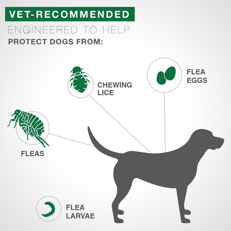 Advantage II 4-Dose Medium Dog Flea Prevention, Topical Flea Treatment for Dogs 11-20 Pounds - PawsPlanet Australia