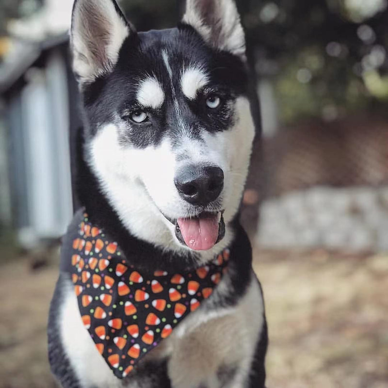 Ginmewrae 2 Pack Halloween Dog Bandana Triangle Bibs Scarf Accessories TG - PawsPlanet Australia