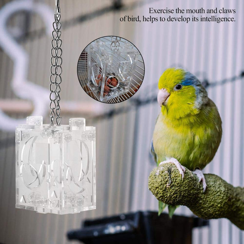 Parrot Feeder, Clear Acrylic Glass Bottle for Parrots Birds Pets Foraging Toy Feeding Nuts & Seed Hanging Tray Box - PawsPlanet Australia