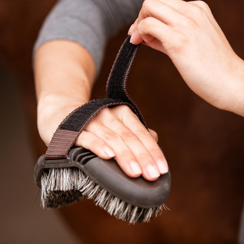 Animalon basic set | Brush brush, curry comb, root brush, tail & mane brush & hoof brush | Basic equipment for daily horse care (brown) brown - PawsPlanet Australia