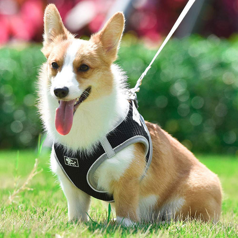 No Pull Dog Harness Small Dogs, Soft Mesh Reflective Breathable Step-In Dog Cat Harness and Lead Set for Puppy Cat Pet Vest with Leash Adjustable for Outdoor Walking, Training XS Black - PawsPlanet Australia