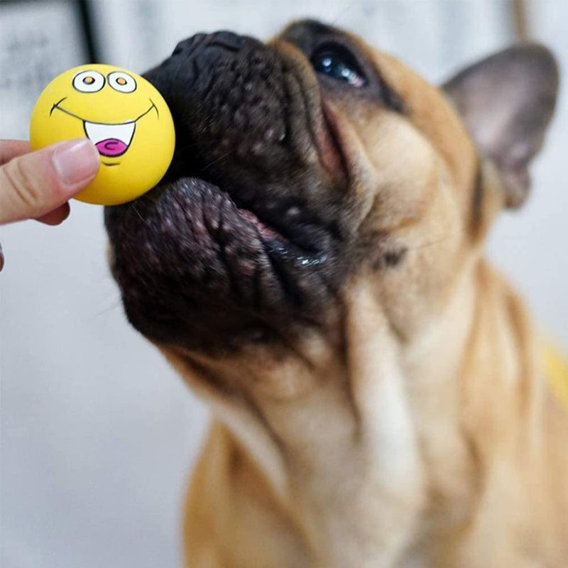 LLSPET Latex Dog Chewing Squeaky Ball Toys Face Fetch Play Toy for Puppy Small Medium Pets Dog cat 6PCS - PawsPlanet Australia