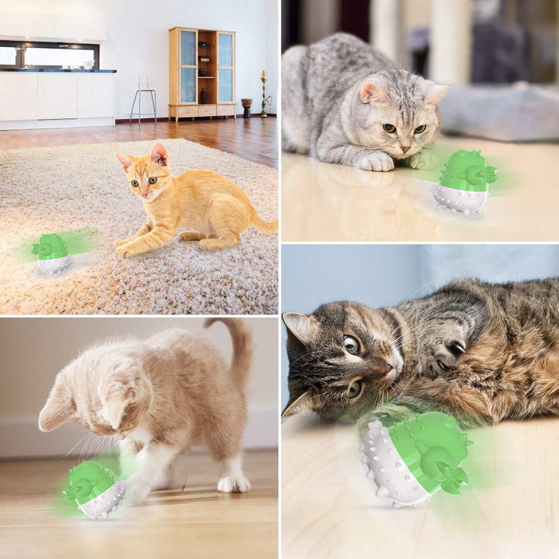 Achort Cat Toys, Cat Toothbrush Toy Interactive Chew Catnip Toy, Funny Kitten Teeth Cleaning toothbrush Nontoxic Natural Rubber Bite Resistant Toys (Green) - PawsPlanet Australia