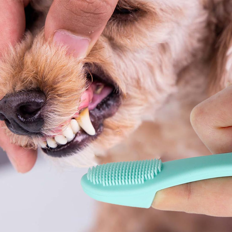 PLKSEI Pack of 6 Dog Toothbrush Silicone Pet Toothbrush Finger Toothbrush for Small Dogs Cats Dental Care - PawsPlanet Australia