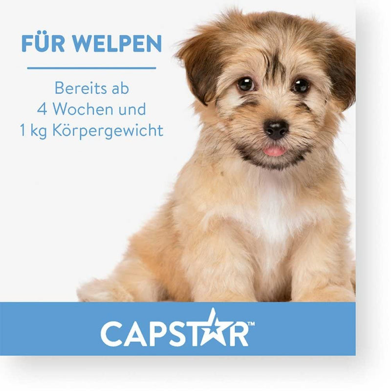 capstar 11.4 mg tablets for cats/small dogs 6 pcs - PawsPlanet Australia