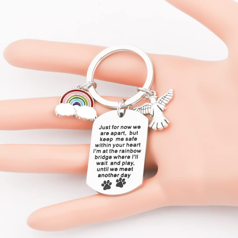 MYSOMY Dog Memorial Keychain I’ll Wait and Play Until We Meet Another Day Rainbow Charm Pet Remembrance Jewelry Pet Loss Sympathy Gift for Dog Owners silver - PawsPlanet Australia