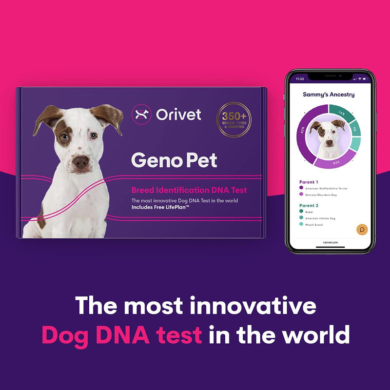 Orivet Genopet Dog DNA Test | Dog Breed Test Kit, Genetic Testing, Heritable Health Risks and Life Plan - PawsPlanet Australia