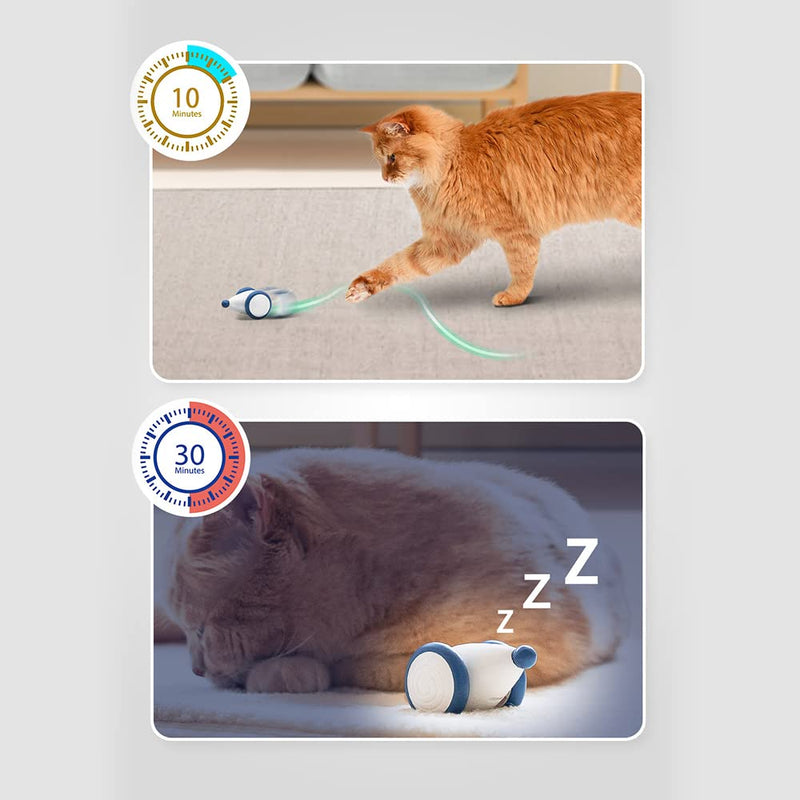 Cat toy electric toy mouse, toy mice for cats with light-up tail, interactive toy mouse with USB cable blue - PawsPlanet Australia