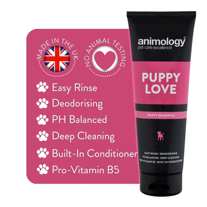 Animology Puppy Love Shampoo | For healthy puppy coat | Easy-rinse formula | Balanced pH and deep cleansing effect for sensitive skin | Built-in conditioner | 250ml 3 Pack 250ml (Pack of 3) - PawsPlanet Australia