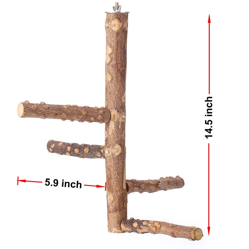 KinTor Bird Perch Nature Wood Stand for 3-4pcs Small Parrots (S) S - PawsPlanet Australia