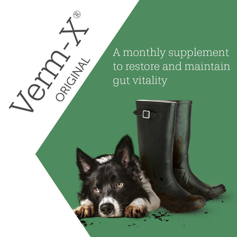 Verm-X All Natural Liquid Supplement for Dogs, Supports Intestinal Hygiene & Gut Vitality, Wormwood Free Recipe and Vet Approved - 250ml Suitable for all Dogs 250 ml (Pack of 1) - PawsPlanet Australia