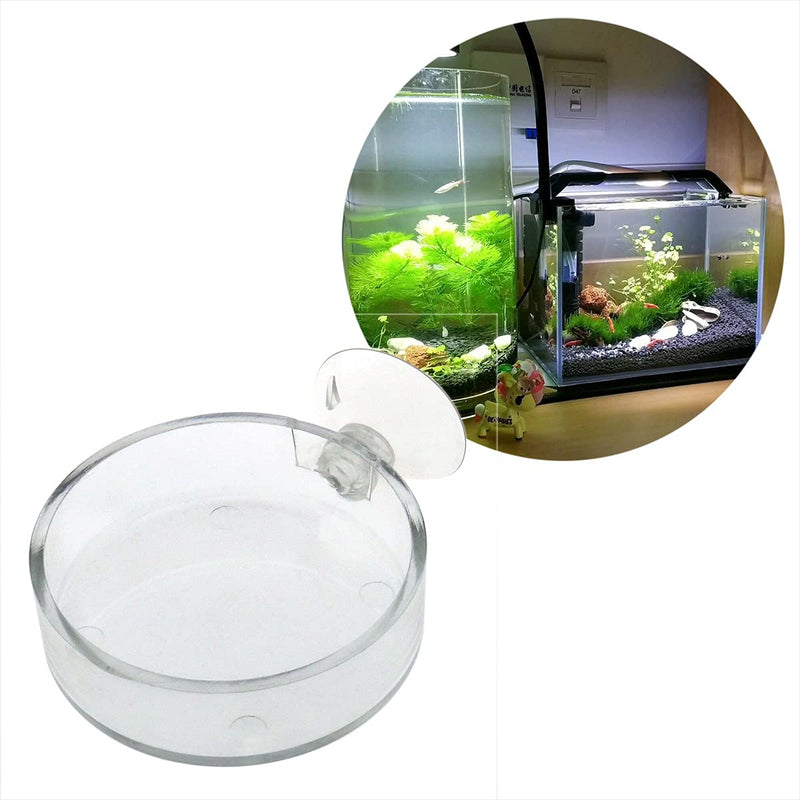 ZRM&E Aquarium Glass Feeder Shrimp Feeding Dish Transparency Acrylic Food Tray Container with Suction Cup Fish Tank Aquascape Decor, 6.5cm - PawsPlanet Australia