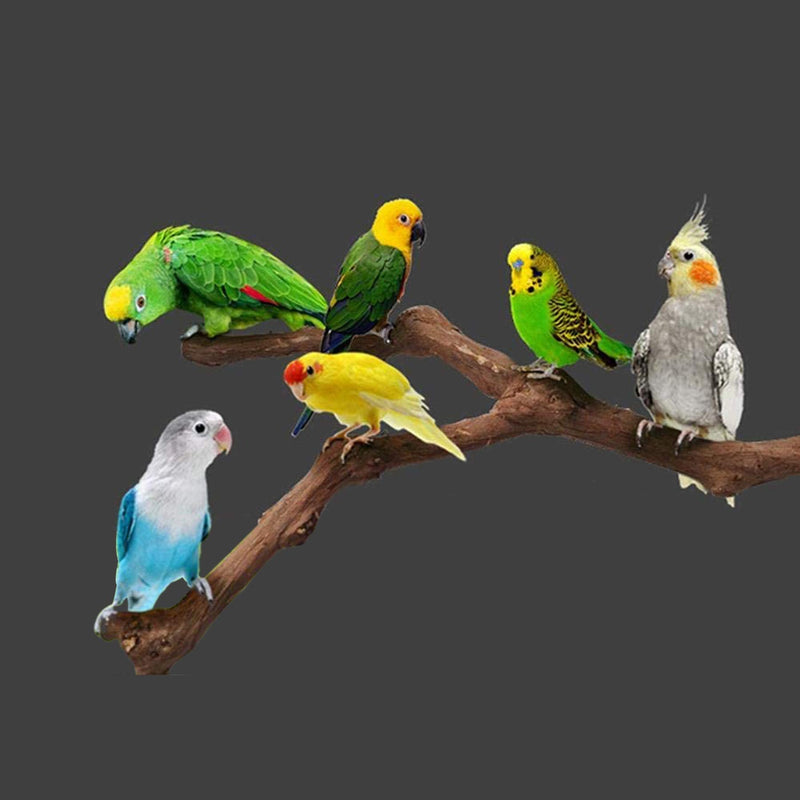 N|A Allazone 5 PCS Bird Perch Natural Grape Stick Bird Standing Stick Swing Chewing Bird Toys Natural Grapevine Bird Cage Perch For Parrot Cages Toy for Cockatiels, Parakeets, Finches - PawsPlanet Australia