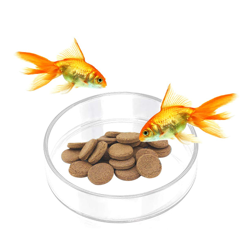 [Australia] - WEAVERBIRD Aquarium Shrimp Feeder Dish Glass Fish Tank Feeding Bowls Round Clear Dishes Tray 80MM 