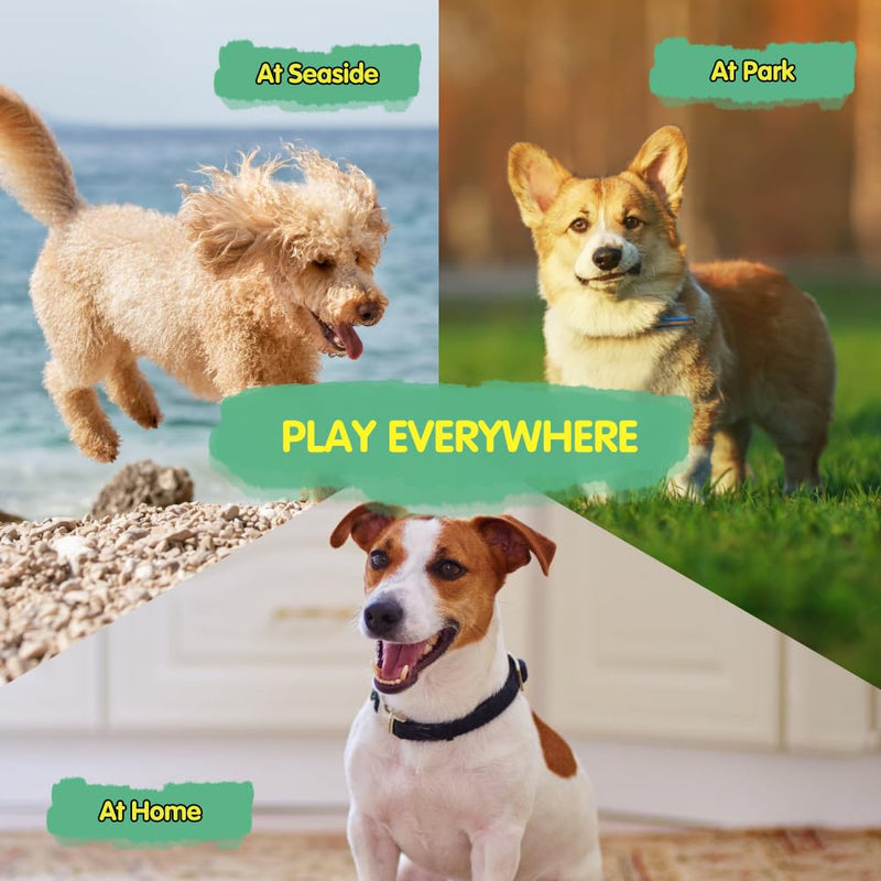 COMFPET Squeaky Dog Plush Toy, Interactive Dog Toy Clean Teeth Puppy Chew Toy, for Small Breed Puppies (Green Crocodile) Green - PawsPlanet Australia