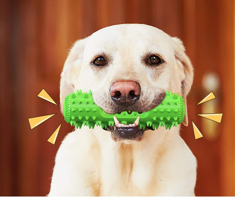 Dog Chew Toys for Aggressive Chewers Dog Mloowa Toothbrush & Squeaky Chew Toys Extra Tough Durable Strong， Meet The Mechanical Design of The Dog’s Mouth Grass green - PawsPlanet Australia