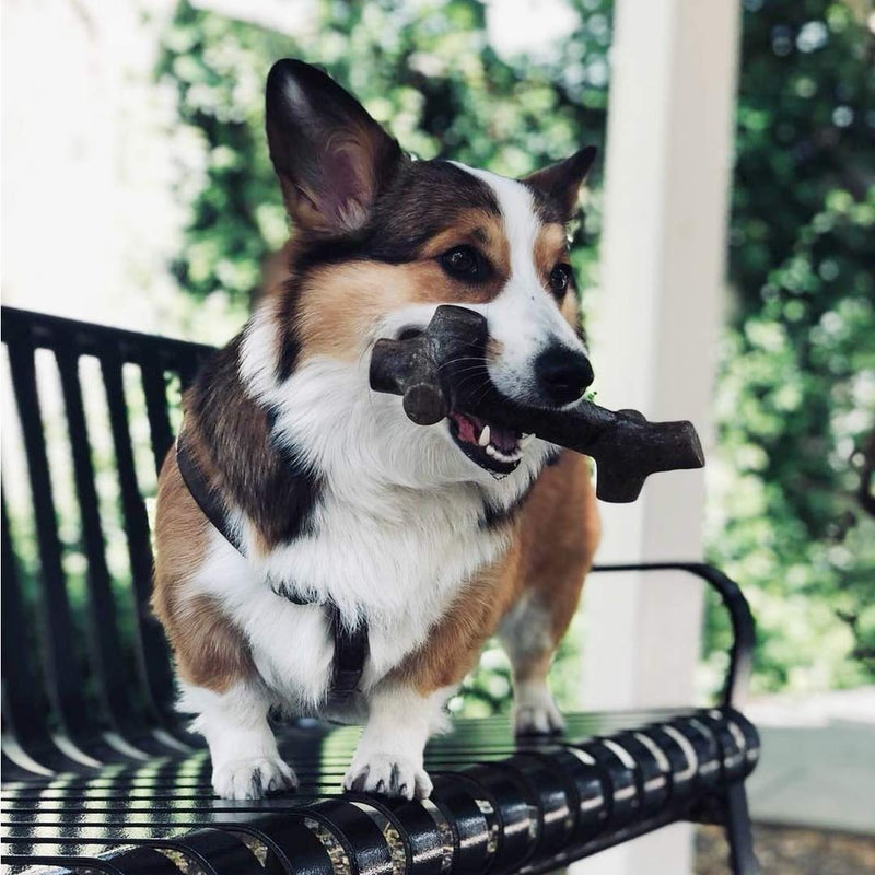 [Australia] - Pet Qwerks BarkBone Stick - For Aggressive Chewers Peanut Butter Large 