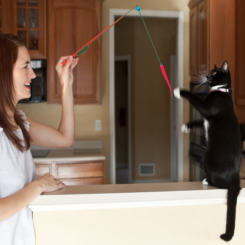 Molain Interactive Magic Wand Toy for Cats, 6 Pieces Assorted Furry Worm Cat Wand Toy Replacement Worm Refills with Bell Cat Worm Refill Chaser - PawsPlanet Australia