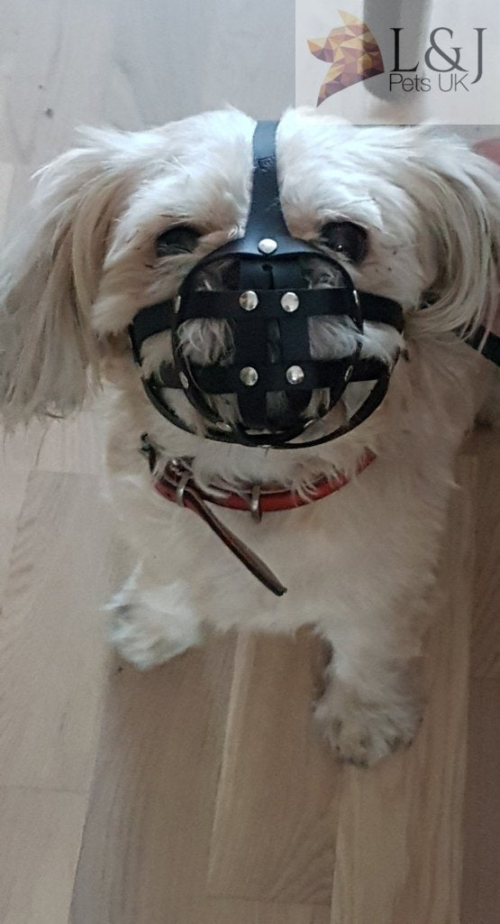 L&J Pets Uk Dog Muzzle for Shih Tzu, Pug and other flat face short snout dog's (M2, Black) - PawsPlanet Australia