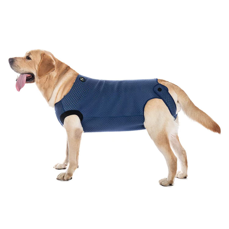 COODEO Dog Surgery Recovery Suit, Waterproof Recovery Suit for Dogs, Surgery Suit for Wounds Protect, Cone Alternative After Surgery, Dog Onesie for Surgery Female or Male (Blue, XL) Blue - PawsPlanet Australia