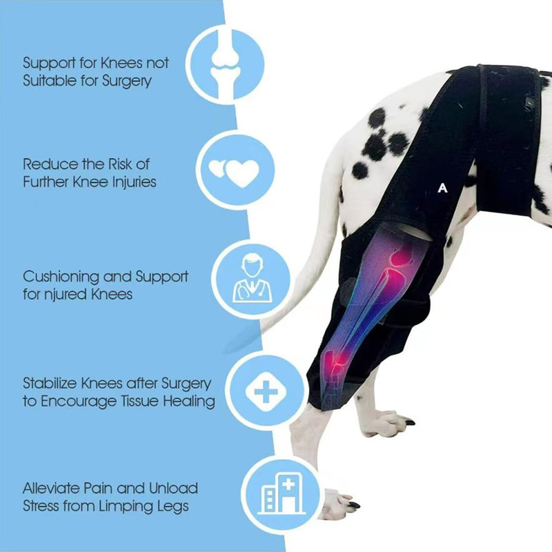 Dog Knee Brace for Back-Leg，Dog Leg Support Brace，Pet Front Back Leg Protector ，Dog Knee Brace Extra Support & Faster Recovery (Small) Small - PawsPlanet Australia