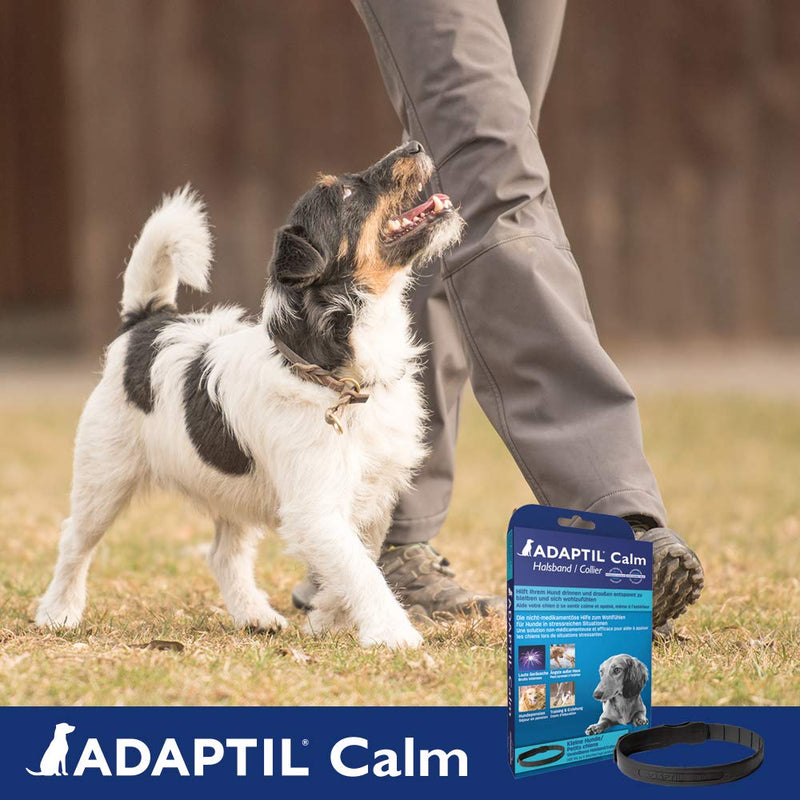 ADAPTIL (DAP) Dog Appeasing Pheromone Collar Storm Anxiety Stress Relief Help by Adaptil (size "S-M") - PawsPlanet Australia