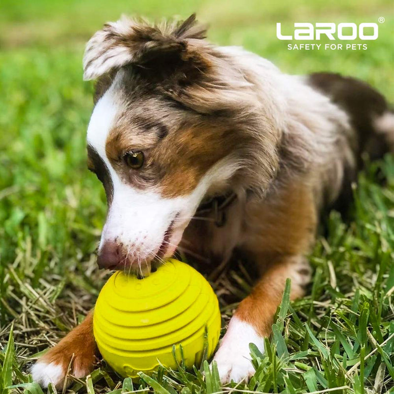 LaRoo Dog Treat Dispenser Toy Ball, Natural Rubber Dog Chew Ball, Bite Resistant Interactive Toy for Medium Large Dog Pet Feeder Training (9cm Ball Green) Green big ball - PawsPlanet Australia