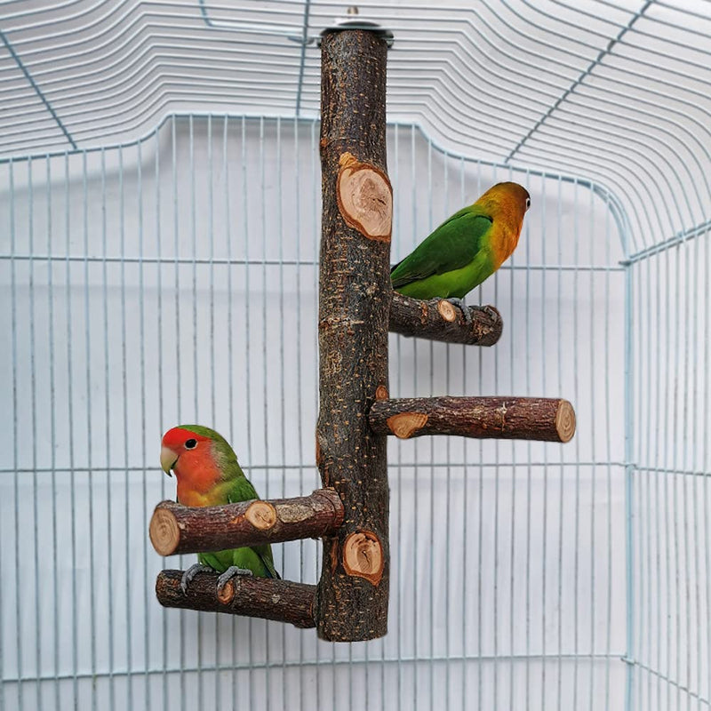 QeeHeng Bird Stand Perch,Natural Wood Parrot Perch Bird Cage,Bird Cage Perches for Parrots,Small Parakeets Cockatiels, Macaws, Parrots, Love Birds, Finches - PawsPlanet Australia