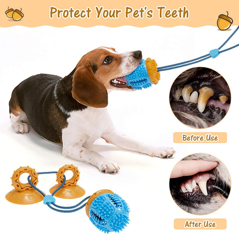 PUPTECK Durable Dog Chew Toy for Small Medium Dogs Puppies, Suction Cup Dog Toy to Floor Wall, Interactive Tug of War Toy - PawsPlanet Australia