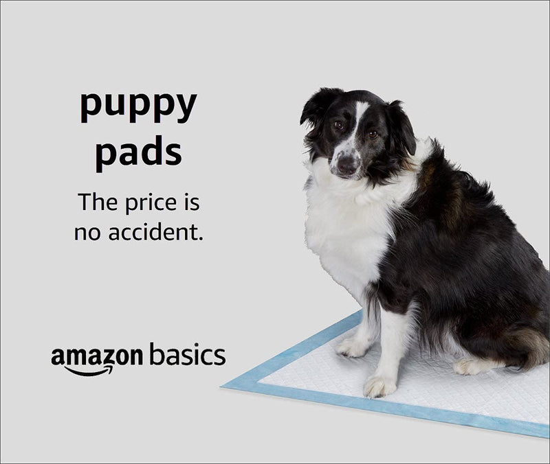 Amazon Basics Pet Training Pads, Regular 50 Count (Pack of 1) - PawsPlanet Australia