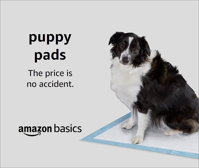 Amazon Basics Heavy Duty Pet and Puppy Training Pads, Regular -50-Count 50-Count - PawsPlanet Australia