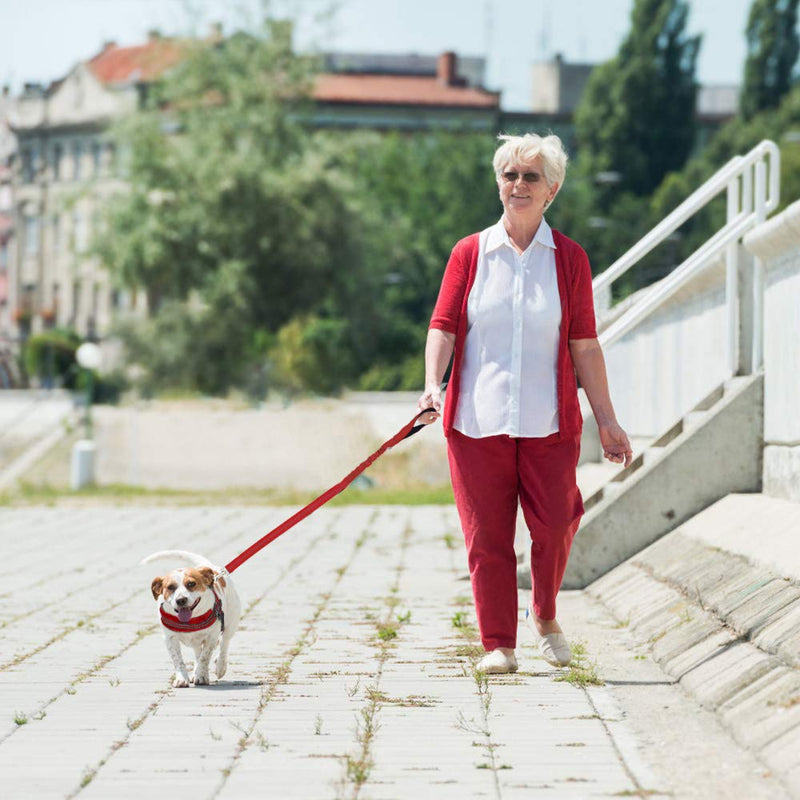 [Australia] - SlowTon No Pull Small Dog Harness and Leash, Heavy Duty Easy for Walk Vest Harness Soft Padded Reflective Adjustable Puppy Harness Anti-Twist 4FT Pet Lead Quick Fit for Small Dog Cat Animal XX-Small Red 