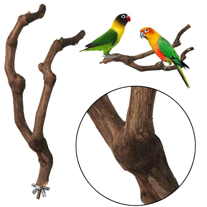 kathson Natural Parrot Perch Bird Stand Pole Wild Grape Stick Paw Grinding Fork Parakeet Climbing Standing Branches Toy Chewable Cage Accessories for Small Budgies Cockatiels Lovebirds 2PCS - PawsPlanet Australia