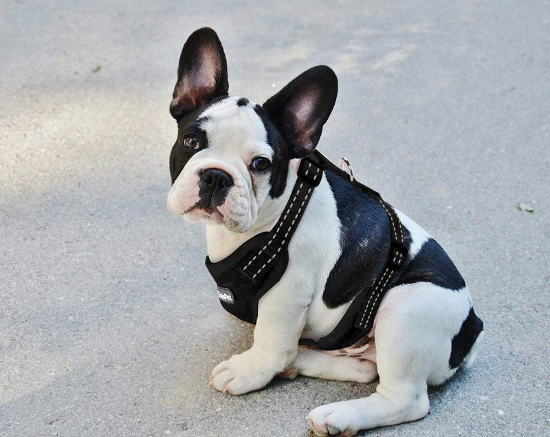 [Australia] - LivinPet No-Choke Dog Vest Harness w/Reflectieve Accents, D-Ring, Adjustable Straps and Quick-Release Buckles for Girl/Boy Puppies of Small/Medium/Large Breeds - Heavy Duty, Easy On/Off, Cooling S (neck/13-19", chest/17-21") Black 