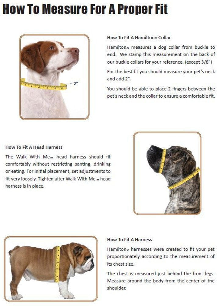 [Australia] - Hamilton Double Thick Nylon Deluxe Dog Collar, 1 by 22-Inch, Brown 