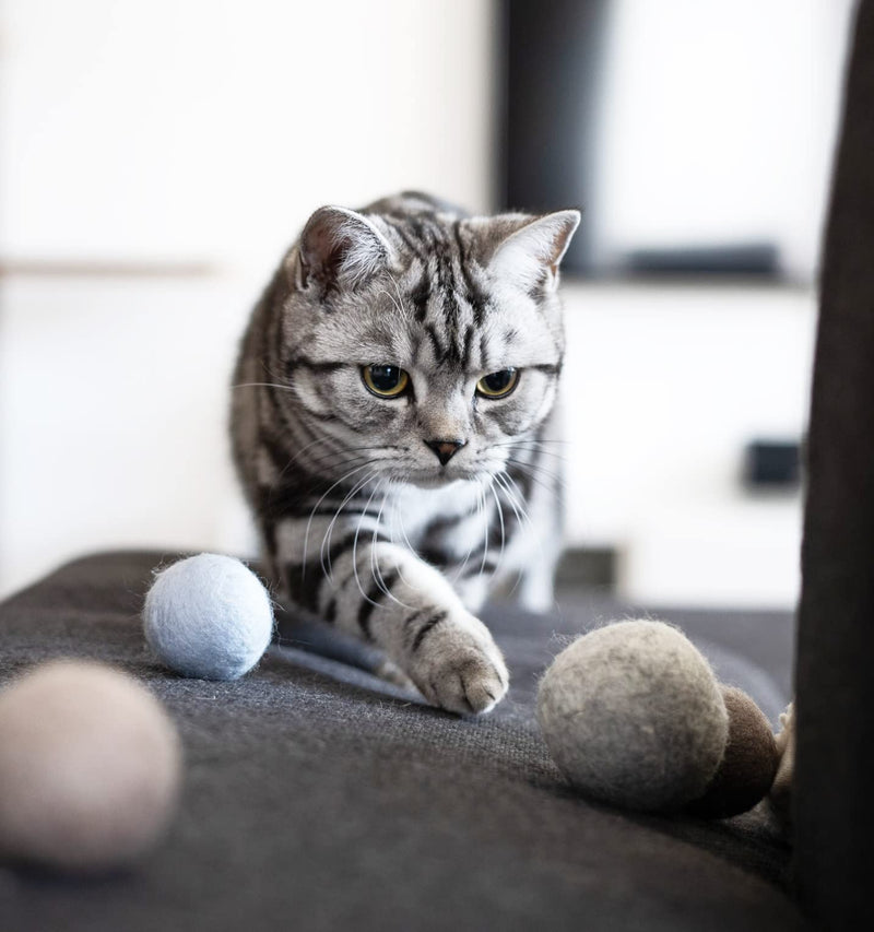 LucyBalu® felt balls with bells for cats | Cat toys | Felt cat balls | Cat toys made of wool | Natural toys for cats | Play balls for cats with bell | 3 pieces - PawsPlanet Australia