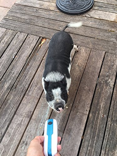 Doggie Don't Device - Loud- Handheld Dog Repellent, Bark Control Device and Dog Training Aid - Loud Patented Sound Stops Barking and Bad Behaviors - No Shock and Humane - PawsPlanet Australia